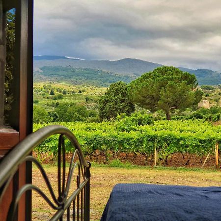 Suite In Vigneto Passopisciaro Ngoại thất bức ảnh