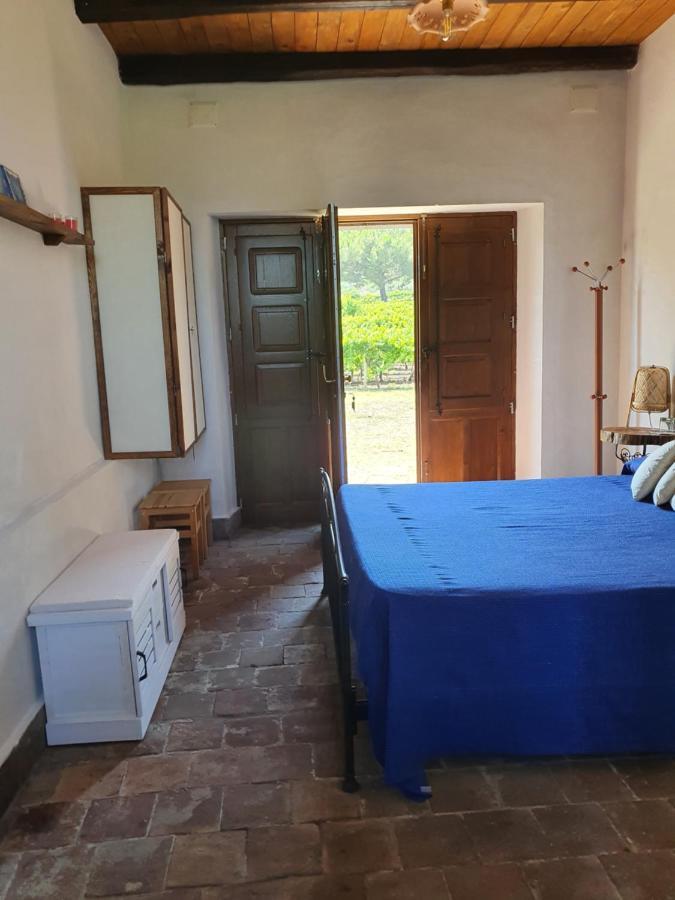 Suite In Vigneto Passopisciaro Ngoại thất bức ảnh